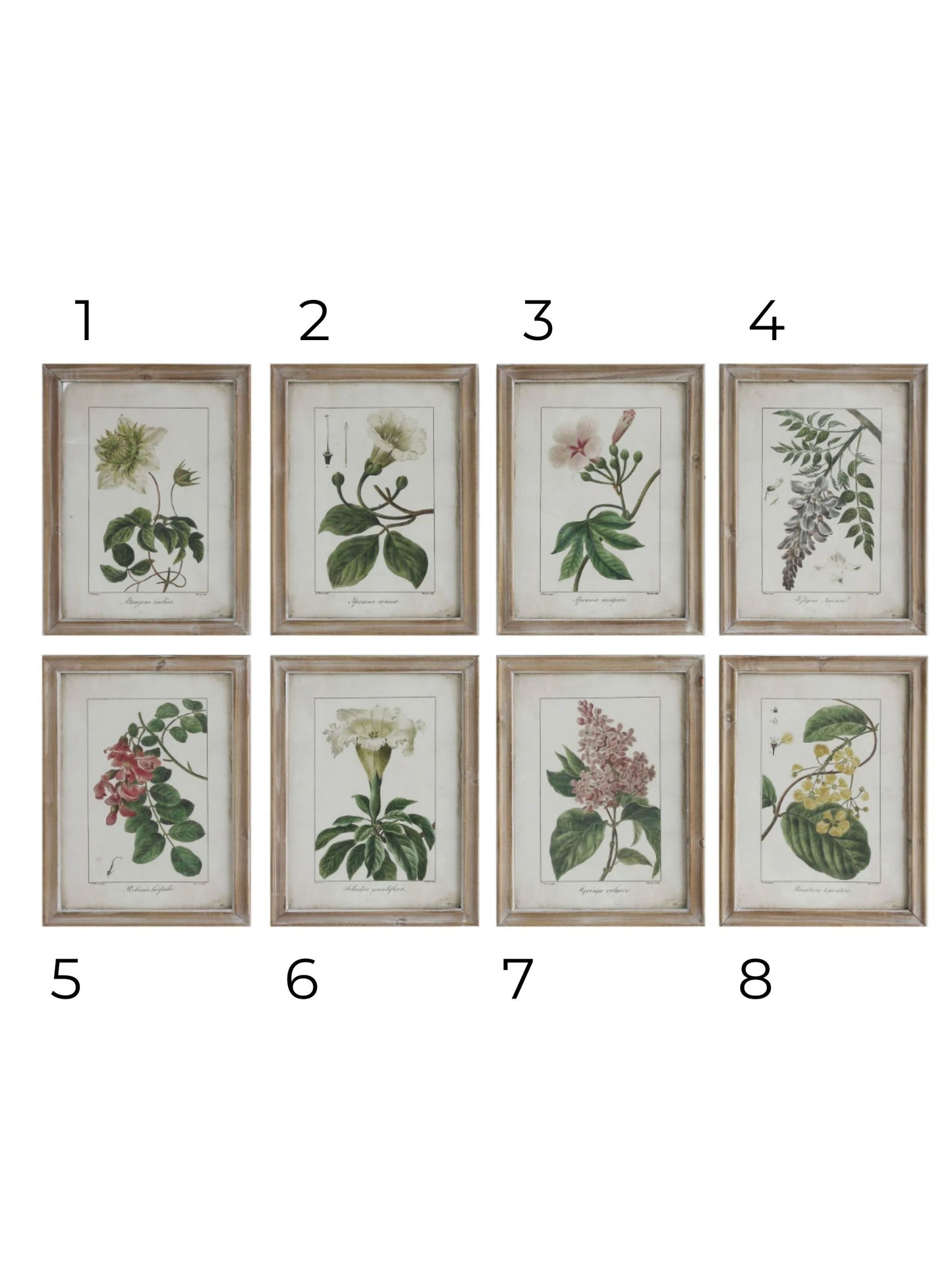 Framed Wall Decor with Floral Image - Pick Up Only
