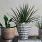 Stoneware Organic Shaped Vase - Pick Up Only