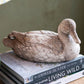 Resin Duck, Heavily Distressed Finish (Each Will Vary)