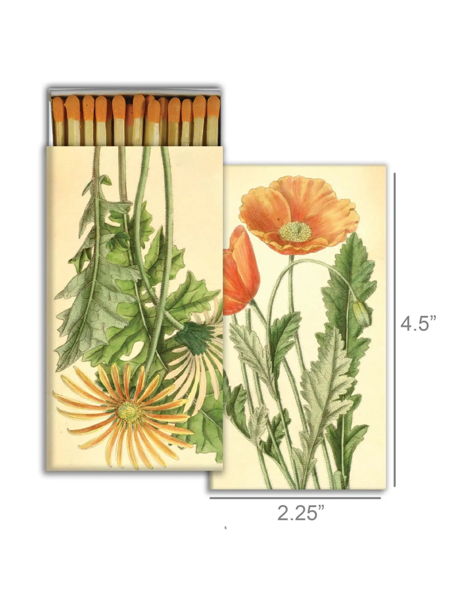 Match - Poppy & Gerber Daisy