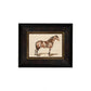 A Bay Horse Framed Picture