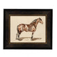 A Bay Horse Framed Picture