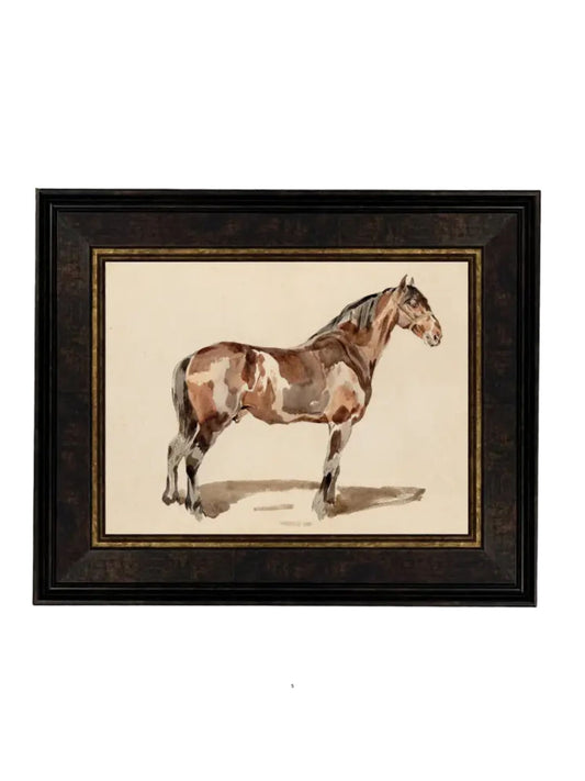 A Bay Horse Framed Picture