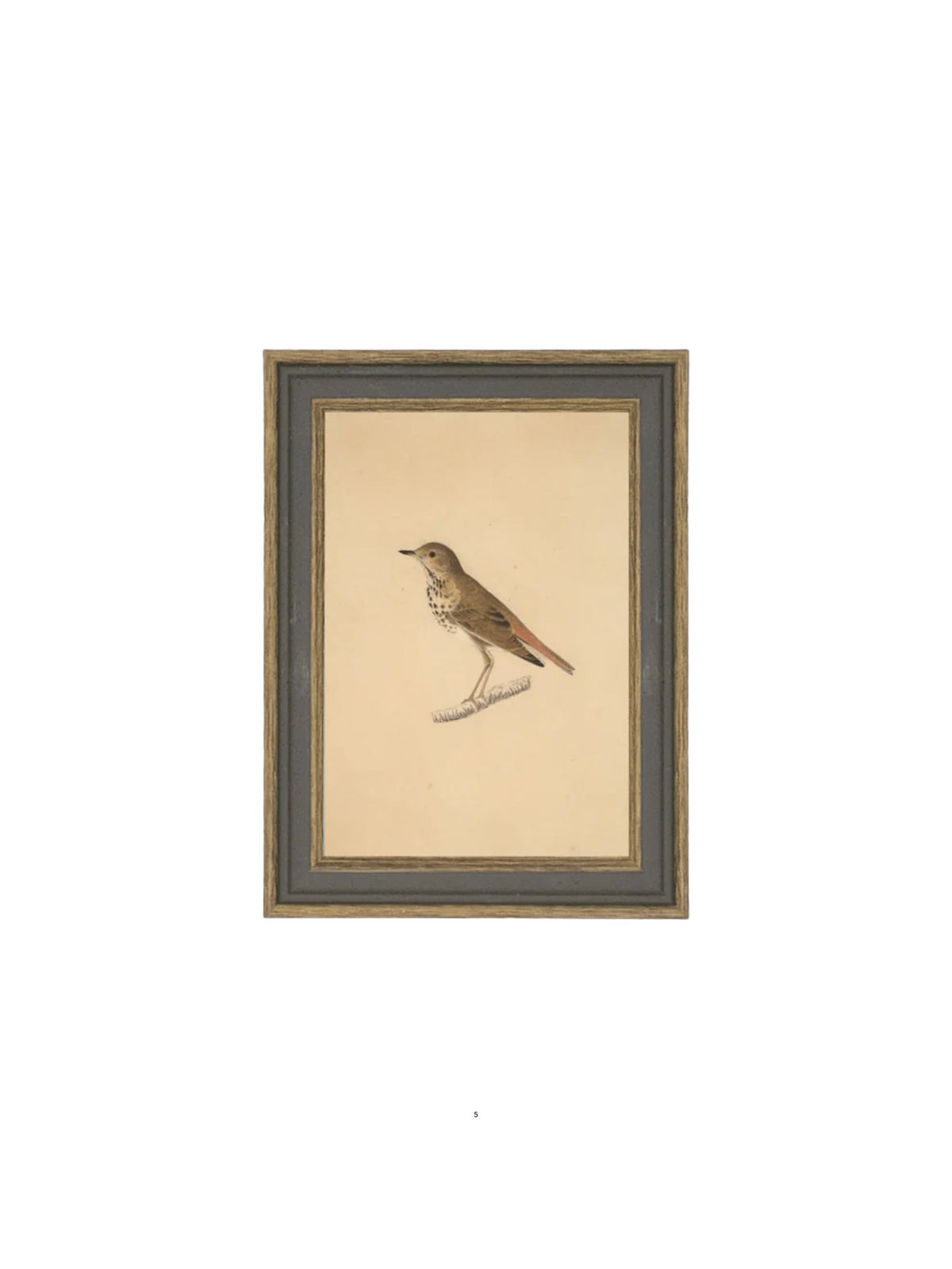 Bird Framed Picture