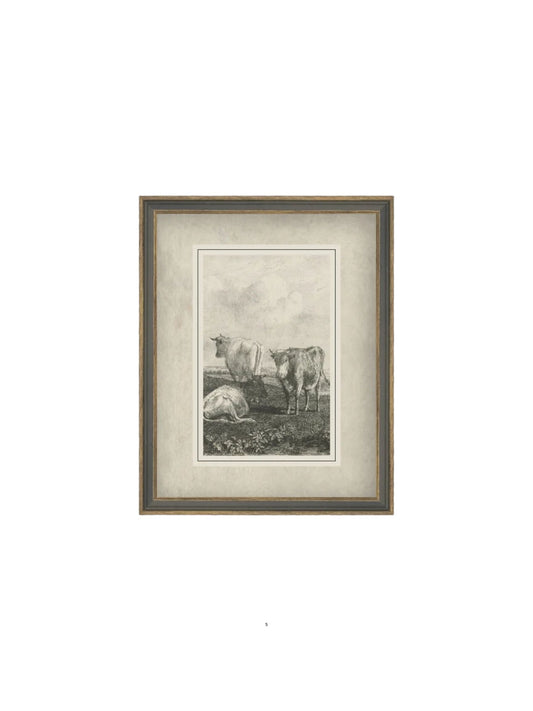 Cattle Sketch Framed Picture