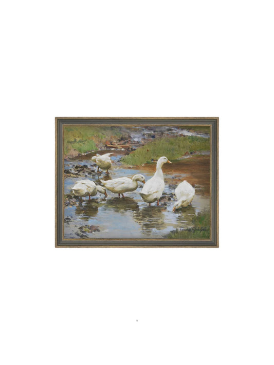 Ducks on the Water Framed Picture
