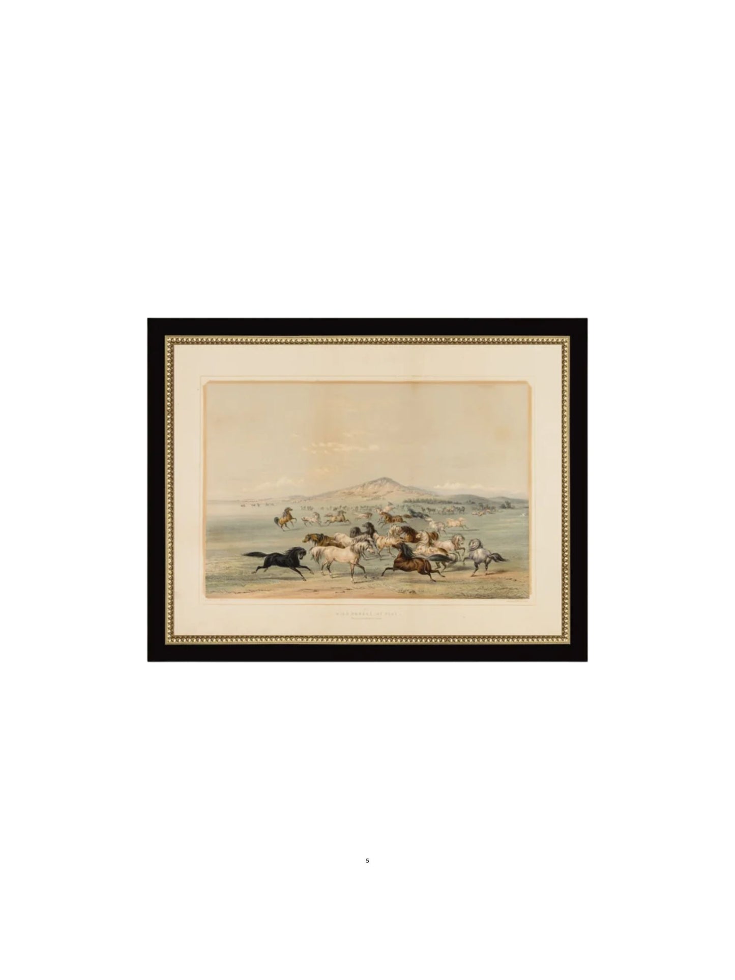 Field of Horses Framed Picture