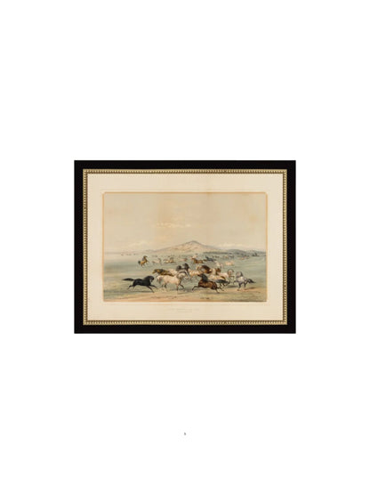 Field of Horses Framed Picture