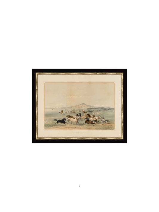 Field of Horses Framed Picture