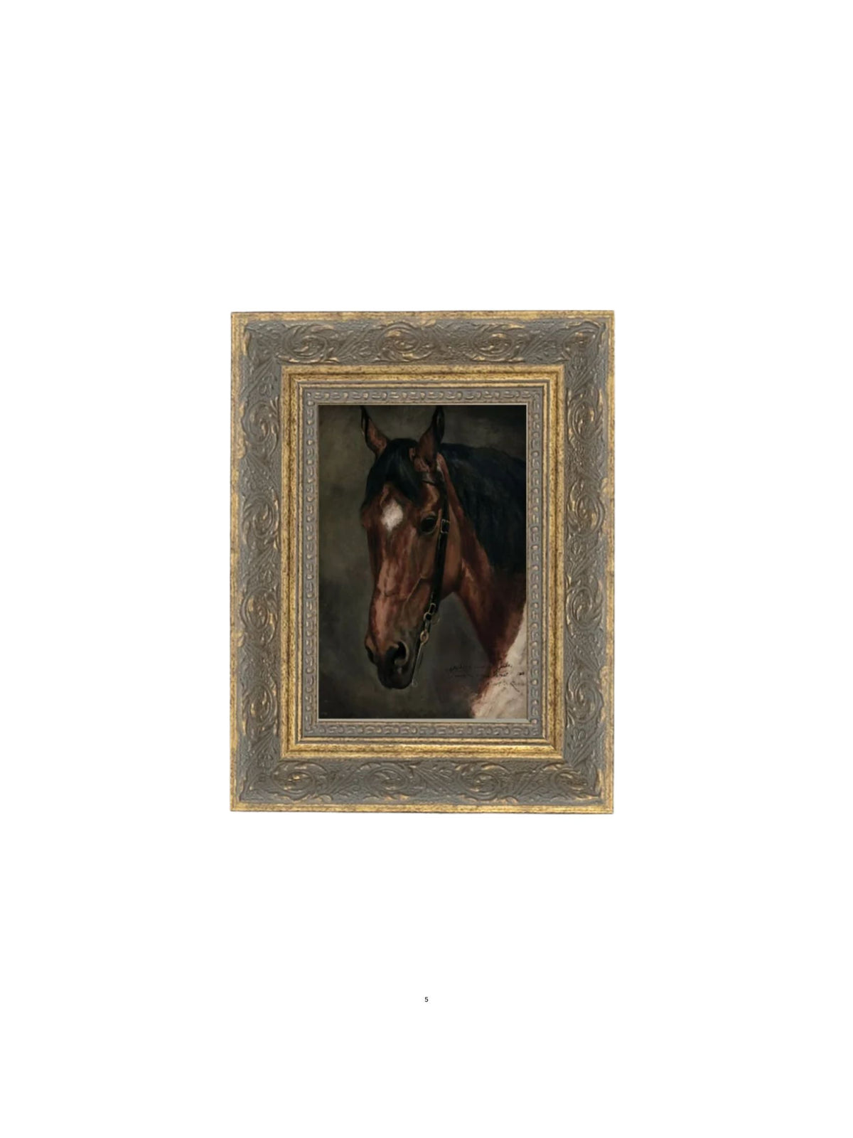 Horse Portrait Framed Picture