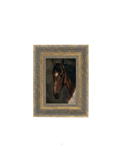 Horse Portrait Framed Picture