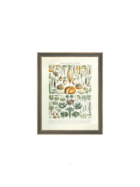 Legumes ET Plantes Framed Picture