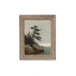 Ocean Side Framed Picture