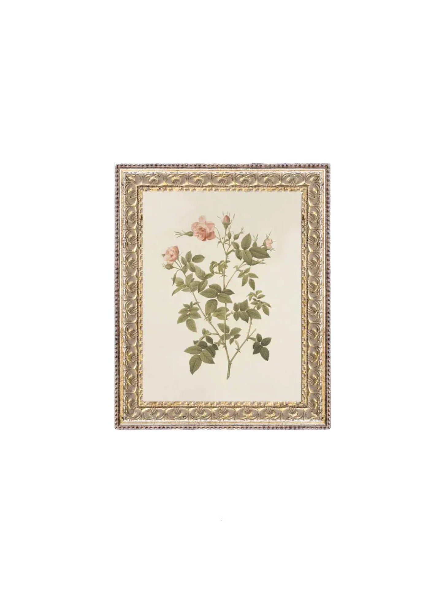 Rosa Framed Picture