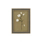 Tulip Stem Framed Picture