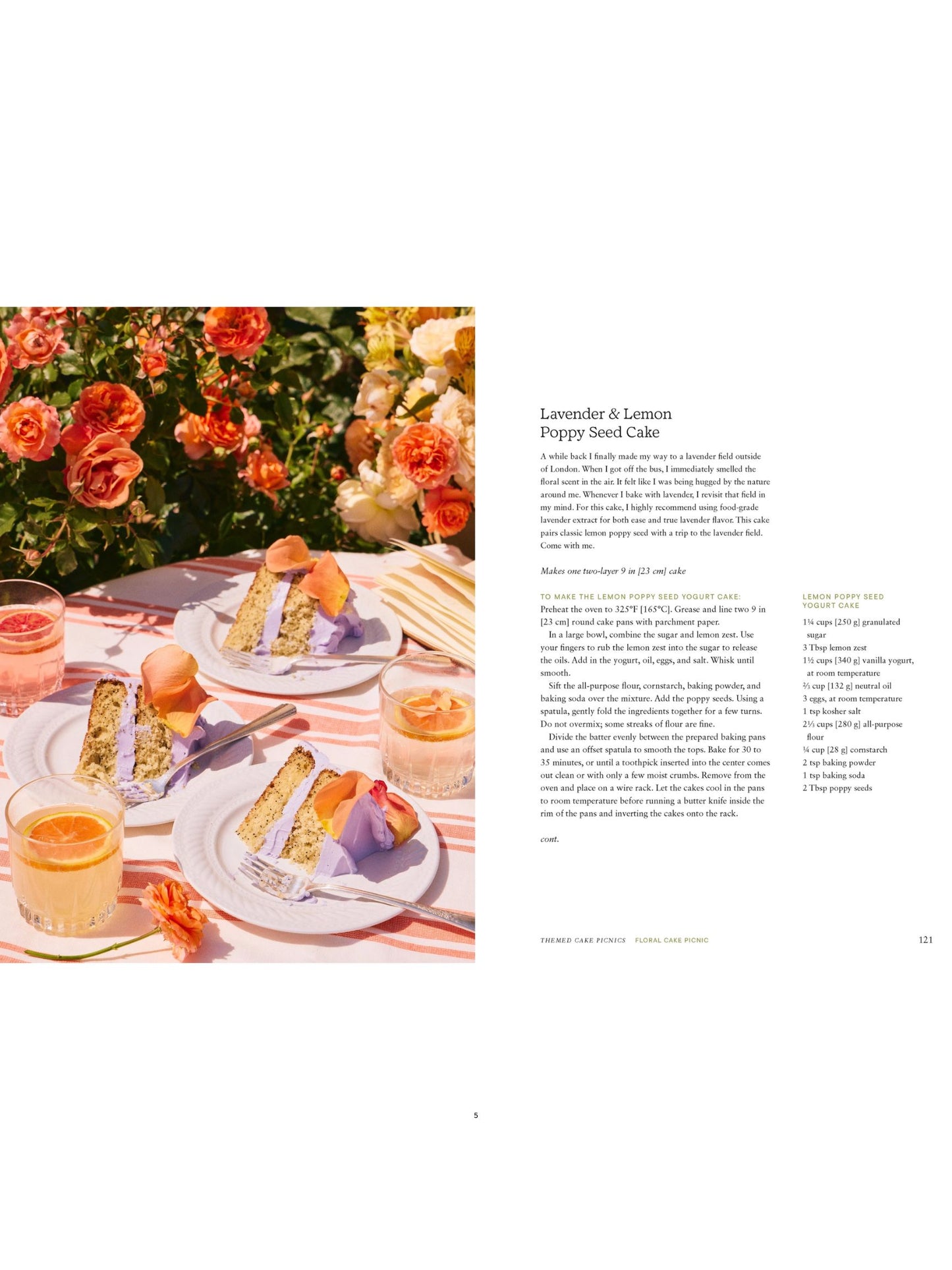 Cake Picnic