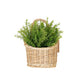Hanging Willow Basket - Pick Up Only