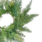 Real Touch Faux Cypress Christmas Wreath - 12" - Pick Up Only