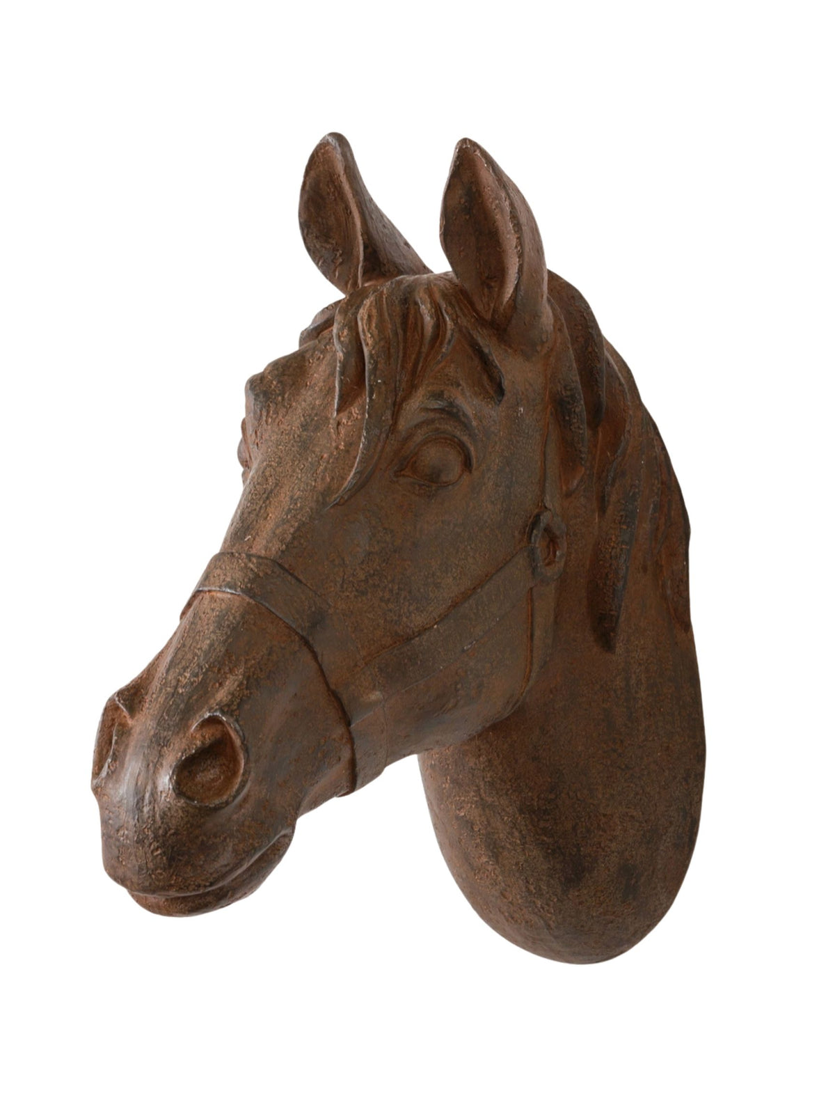 Horse Head Wall Mount - Pick Up Only