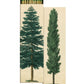 Tall Trees Matches