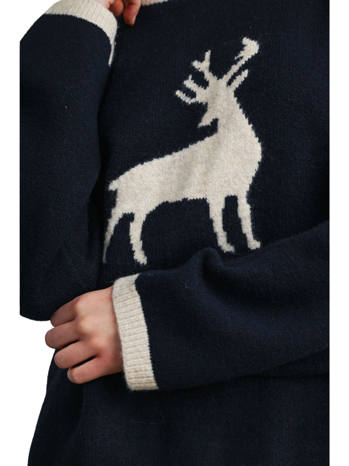 Reindeer Graphic Knit Sweater