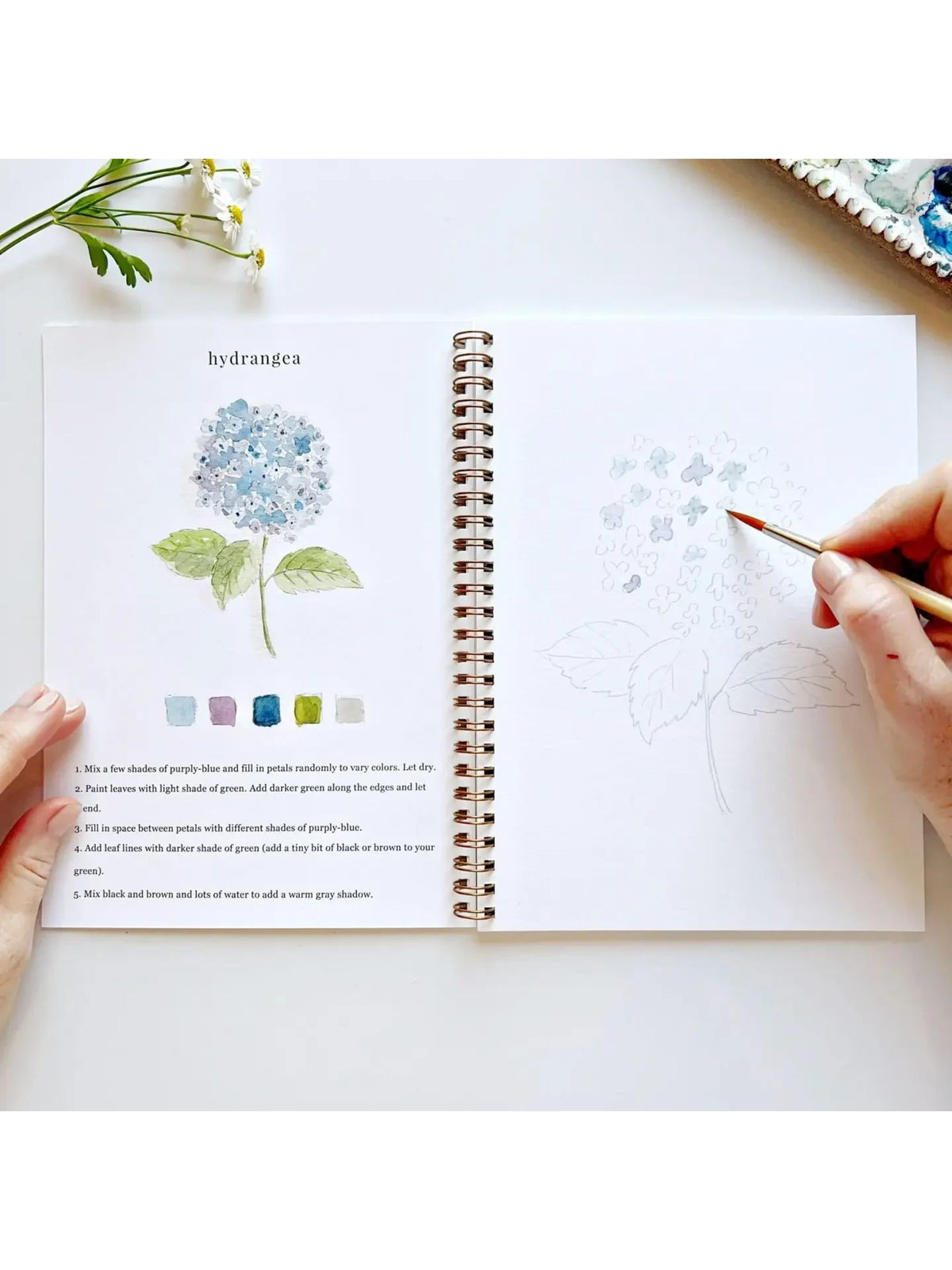 Flowers Watercolor Workbook