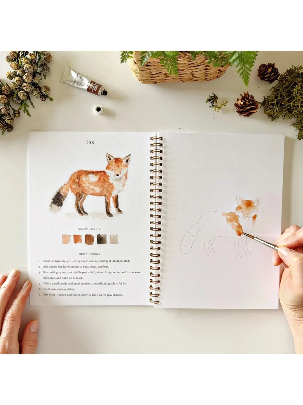 Woodland Watercolor Workbook
