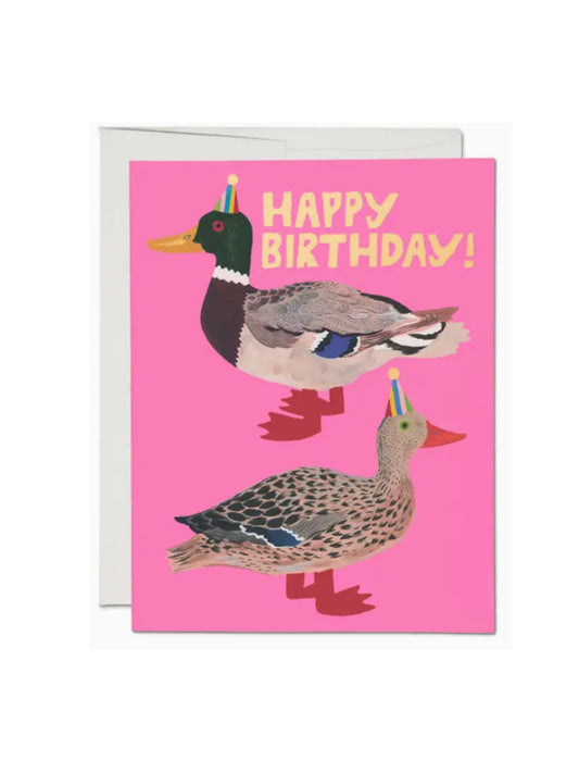 Quacky Birthday Greeting Card