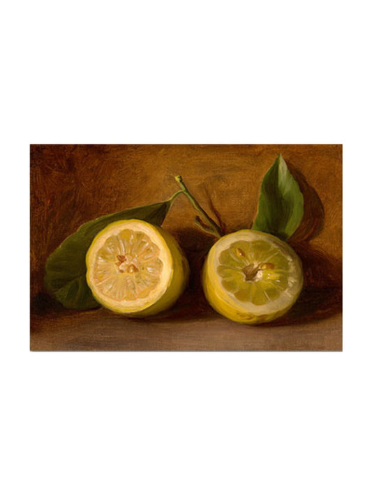 8x10" The Beauty Of Lemons Print