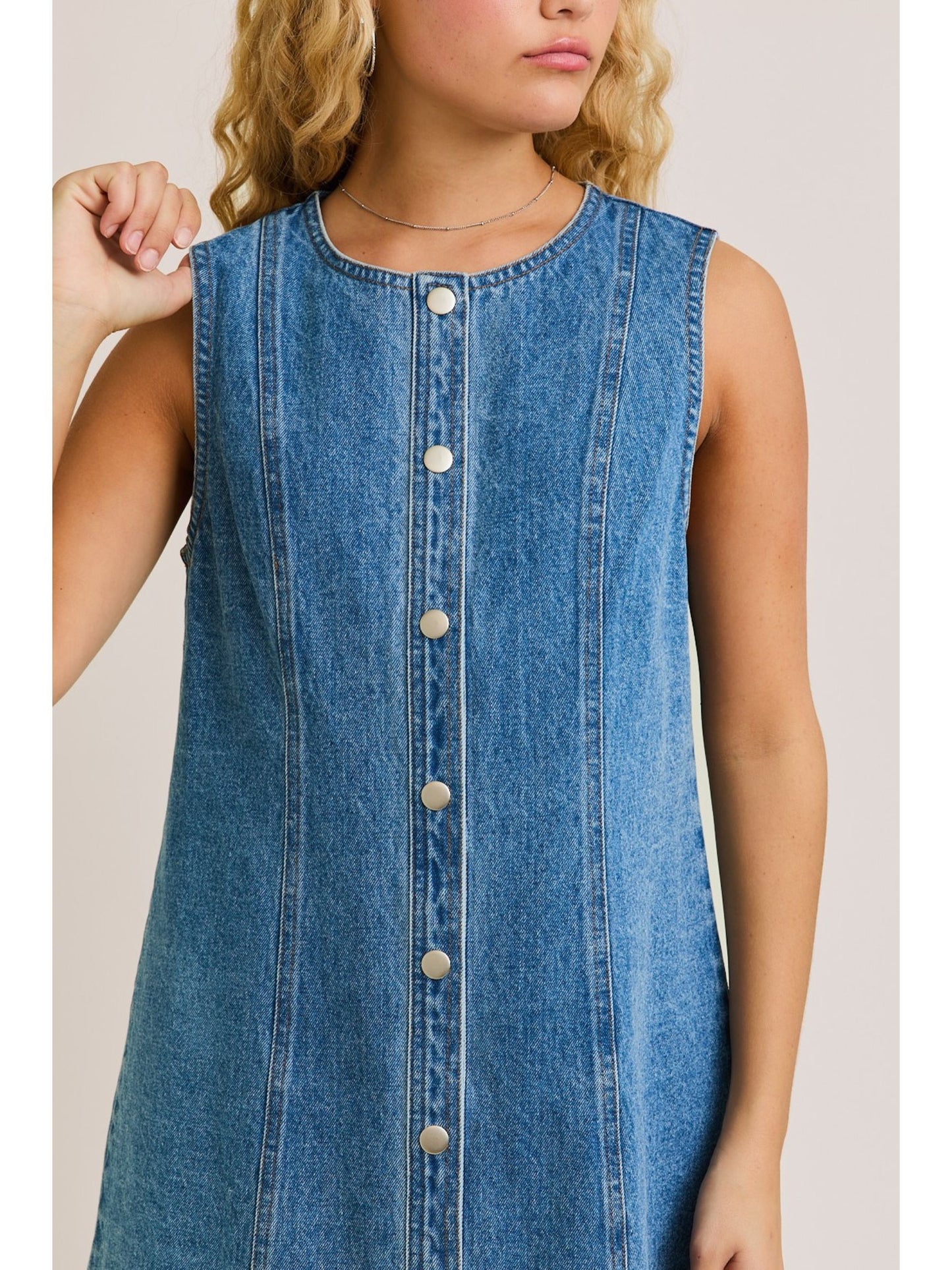 Clara Denim Button Down Dress