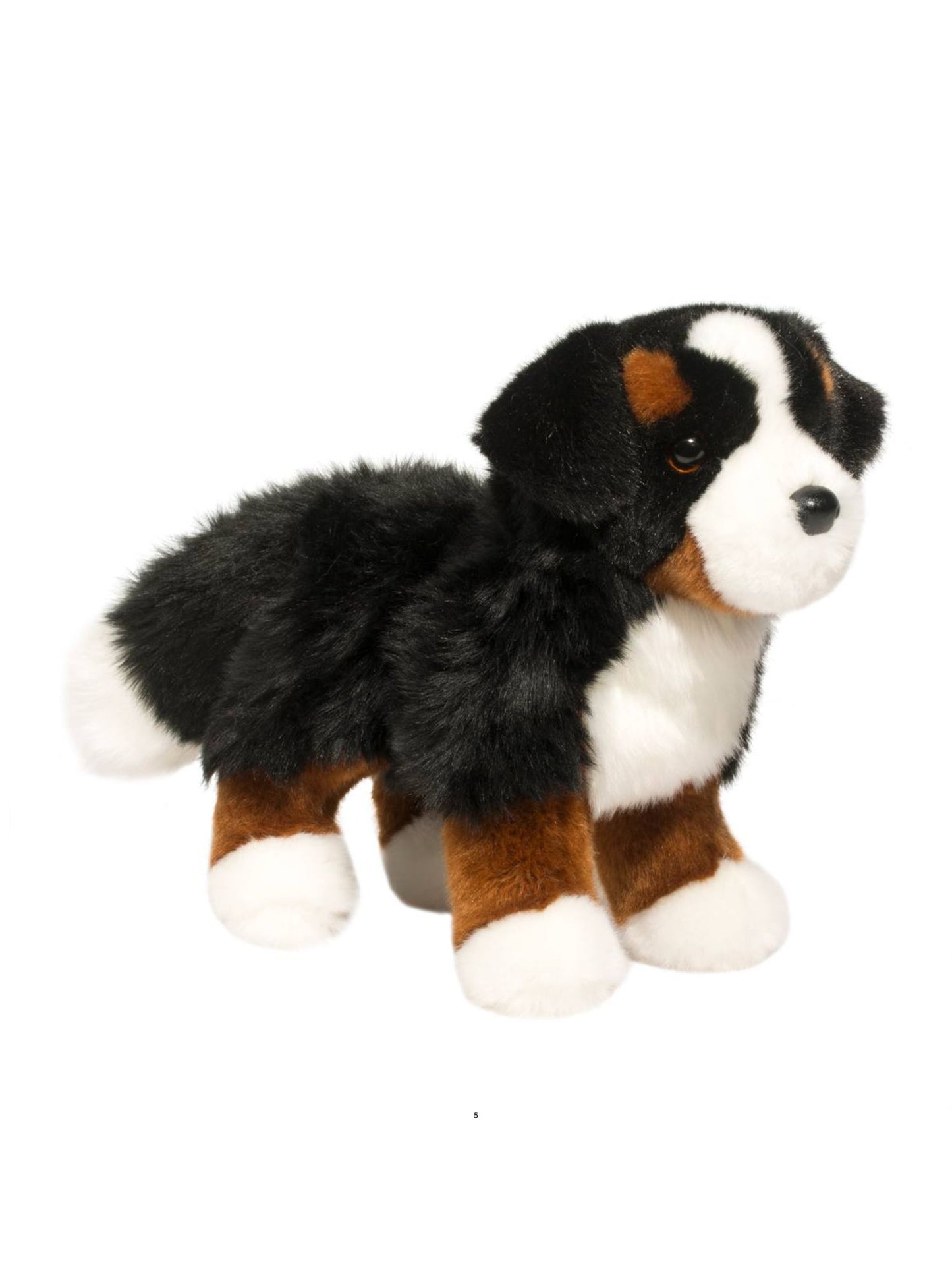 Stevie the Bernese Mountain Dog