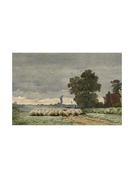 9x12" Herding Sheep Print