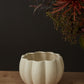 Spiced Pumpkin Pot