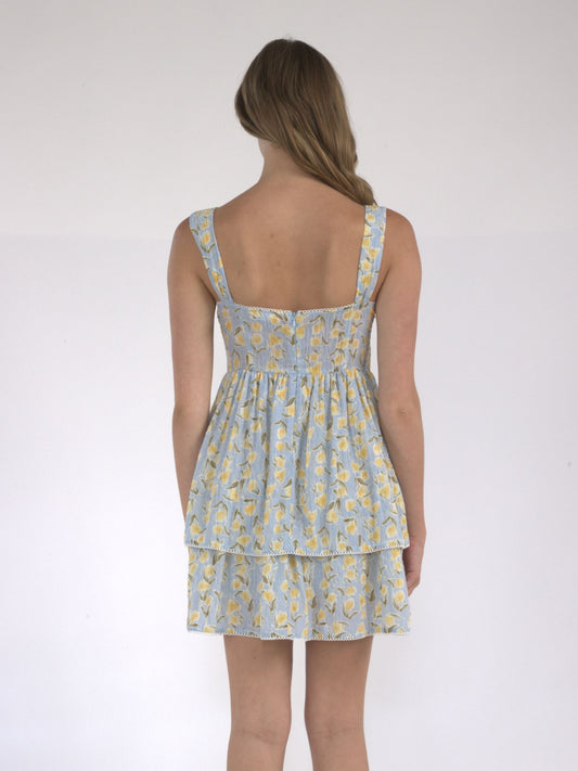 Europe Summer Floral Ruffle Mini Dress