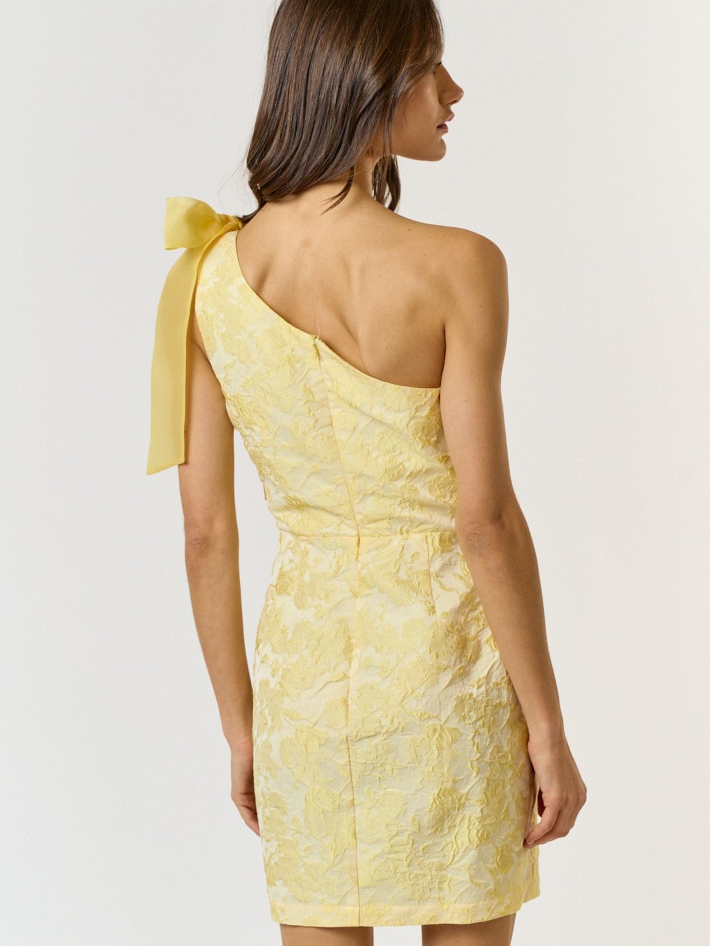 Meyer Lemon Organza Mini Dress