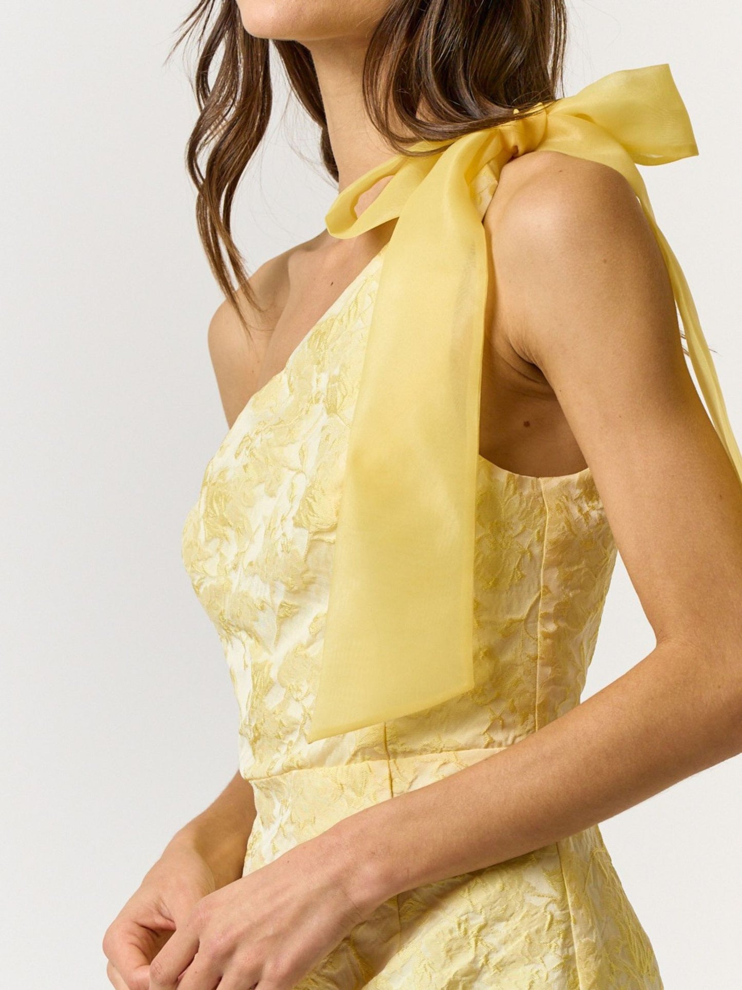 Meyer Lemon Organza Mini Dress