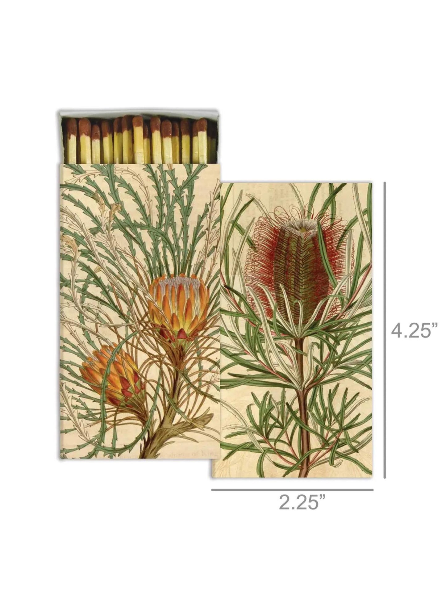 Matches - Protea