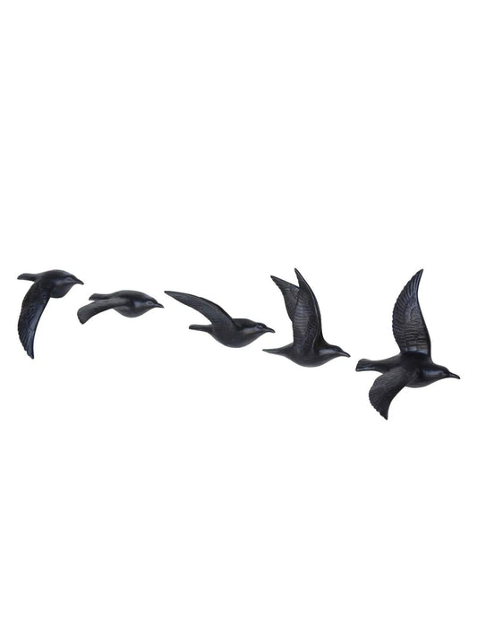 Flying Gulls - Assorted