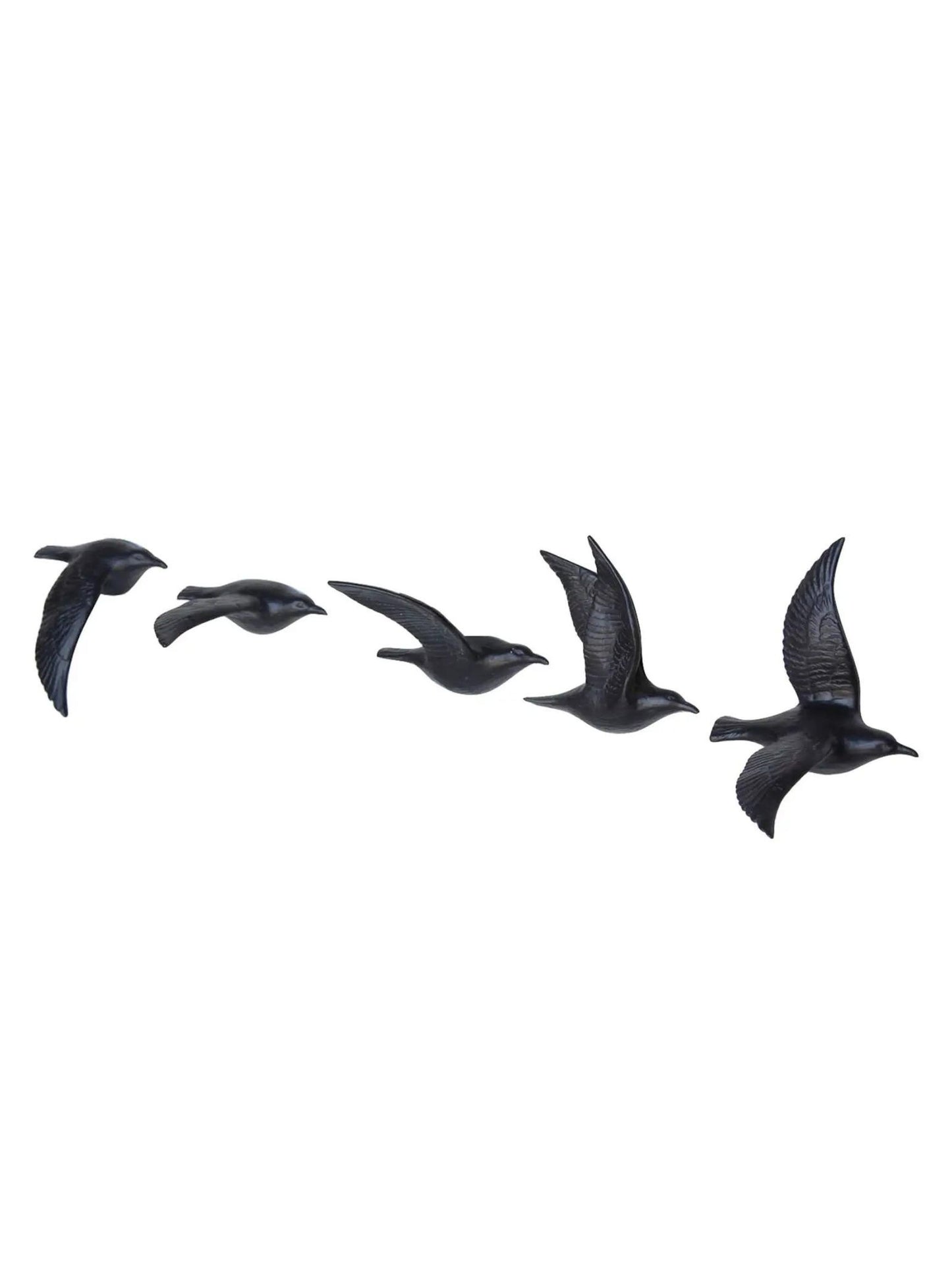 Flying Gulls - Assorted