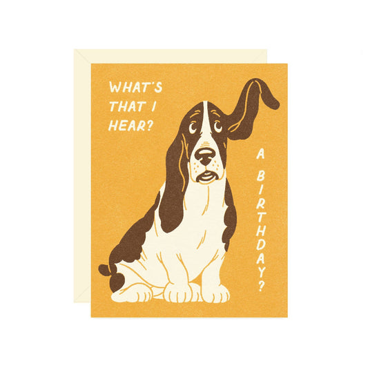 Basset Hound Birthday Greeting Card