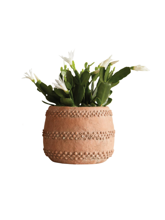 Cement Planter
