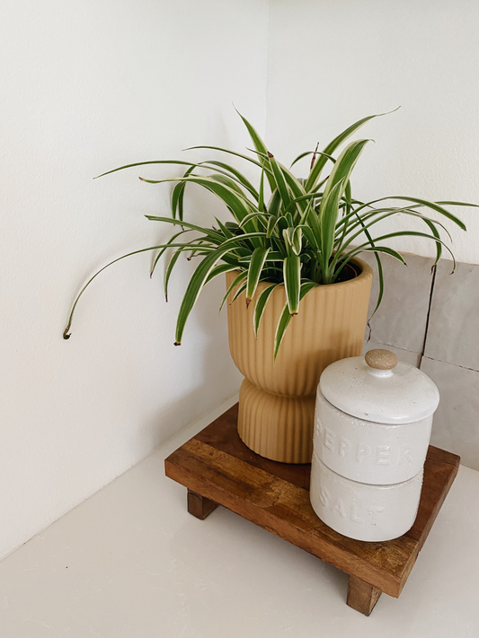 Pleated Footed Planter