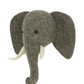 Elephant Head - Semi