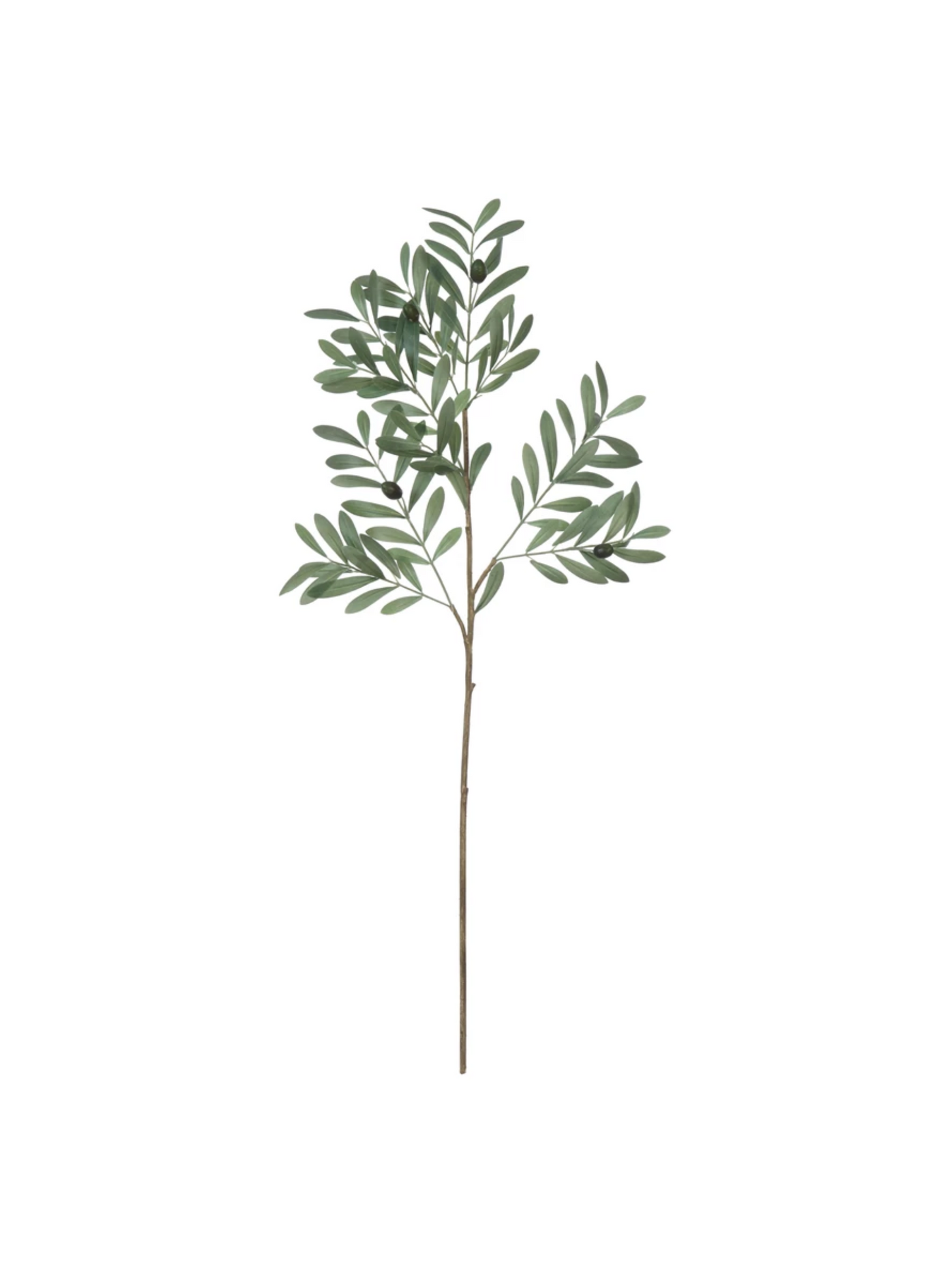 Faux Olive Branch (PICK UP ONLY)