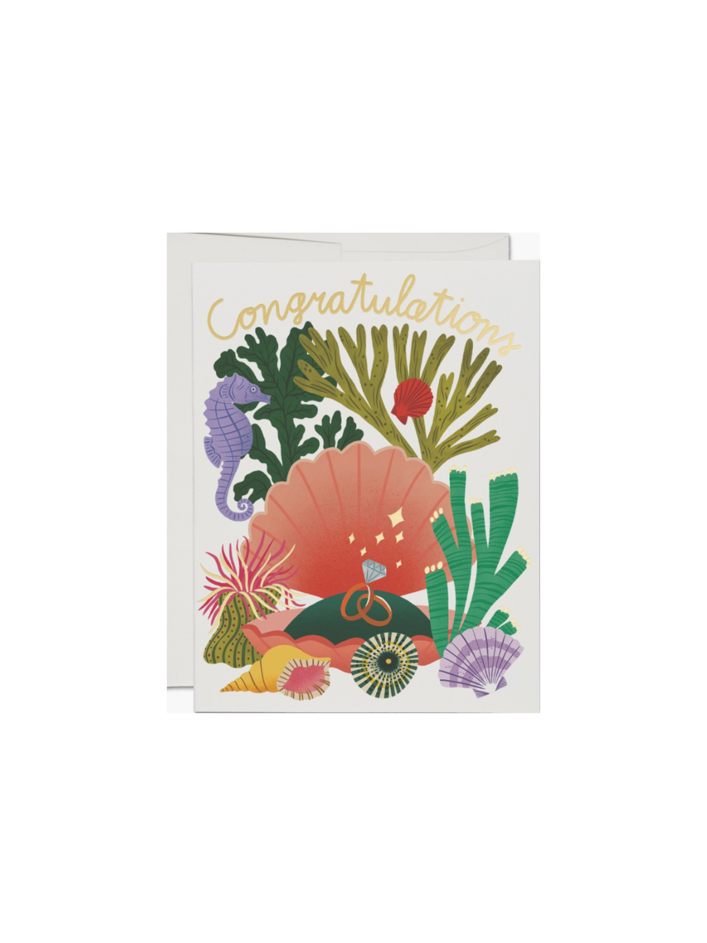 Clam Shell Congrats Card