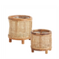 Wicker Plant Holder